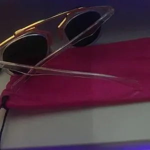 NWOT Festy Besty Sunglasses with Case Festy Besty | Accessories | Free Wpurchase Festy Besty  main image 2